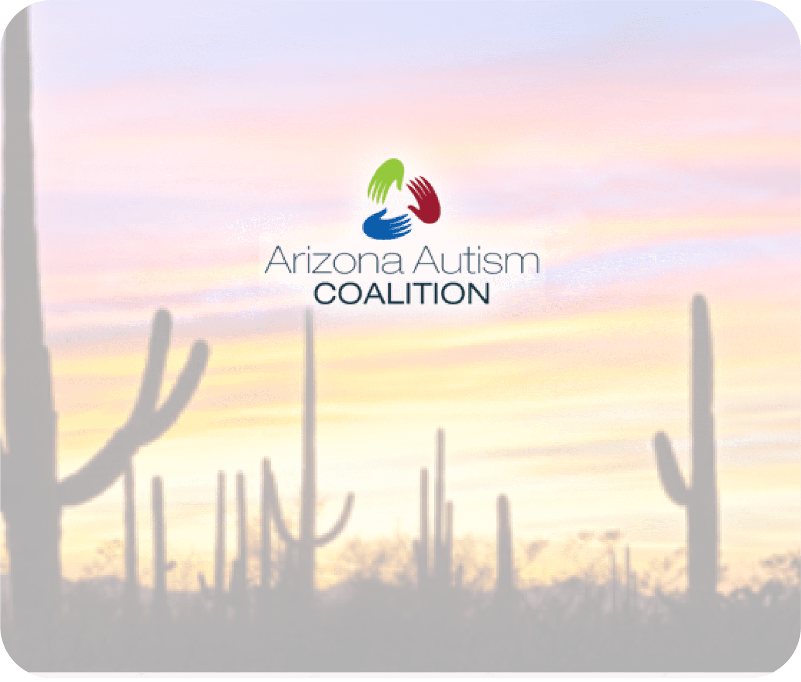 17th Annual Autism Expo Image